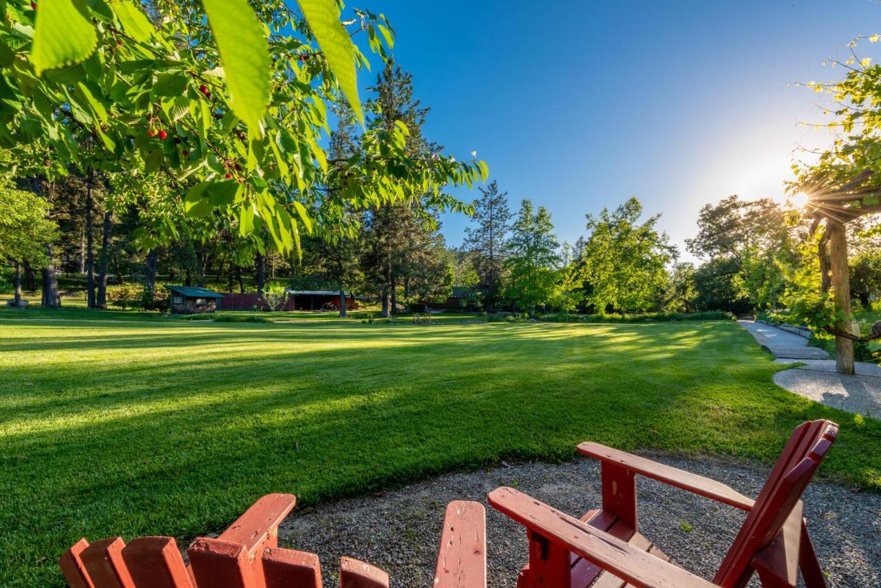 The Davies Family Inn - Adults Only Placerville Exteriör bild