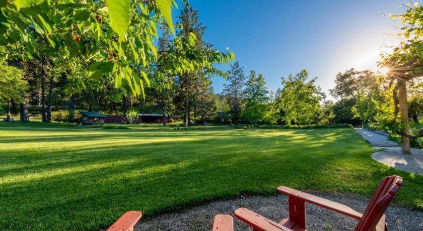 The Davies Family Inn - Adults Only Placerville Exteriör bild